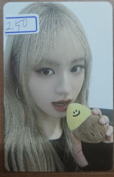 ＜特價＞SW6.0 烤地瓜栗