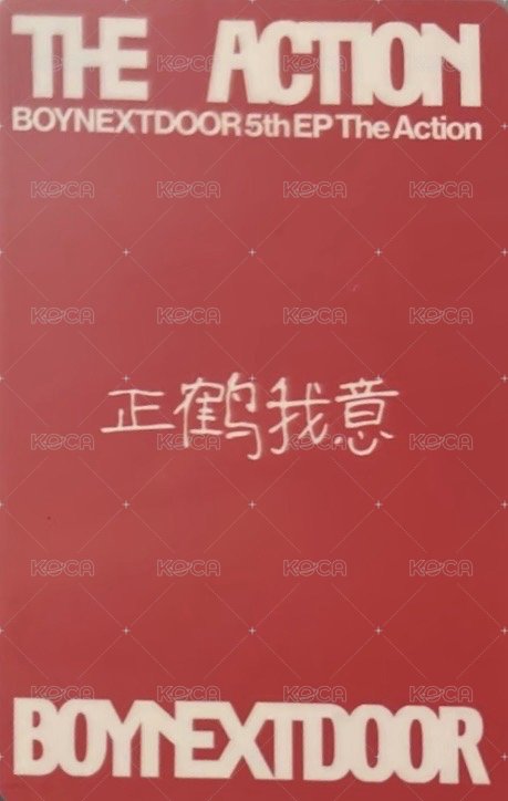 The Action yzy 預售 1.0 特典卡  背面