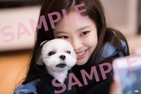 BLACKPINK HOUSE 明信片 
