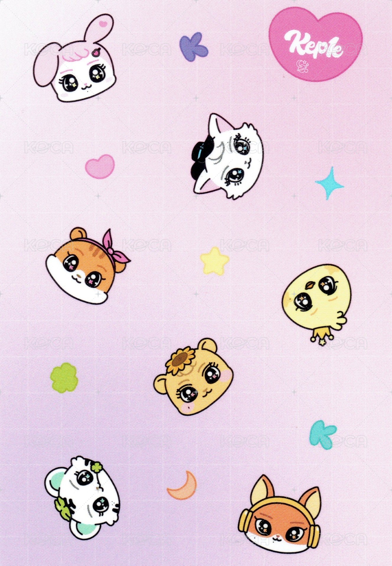 Kep1e 滿額卡  背面