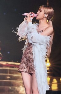 Chapter 1 周邊卡 卡冊卡