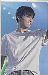 24克拉島wvs  VOD特典燦