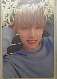 白燦（PVC卡易有小損）🍋