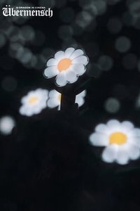 Übermensch CINEMA 明信片 