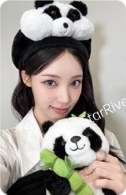 Dearest sr 4.0 簽售卡 