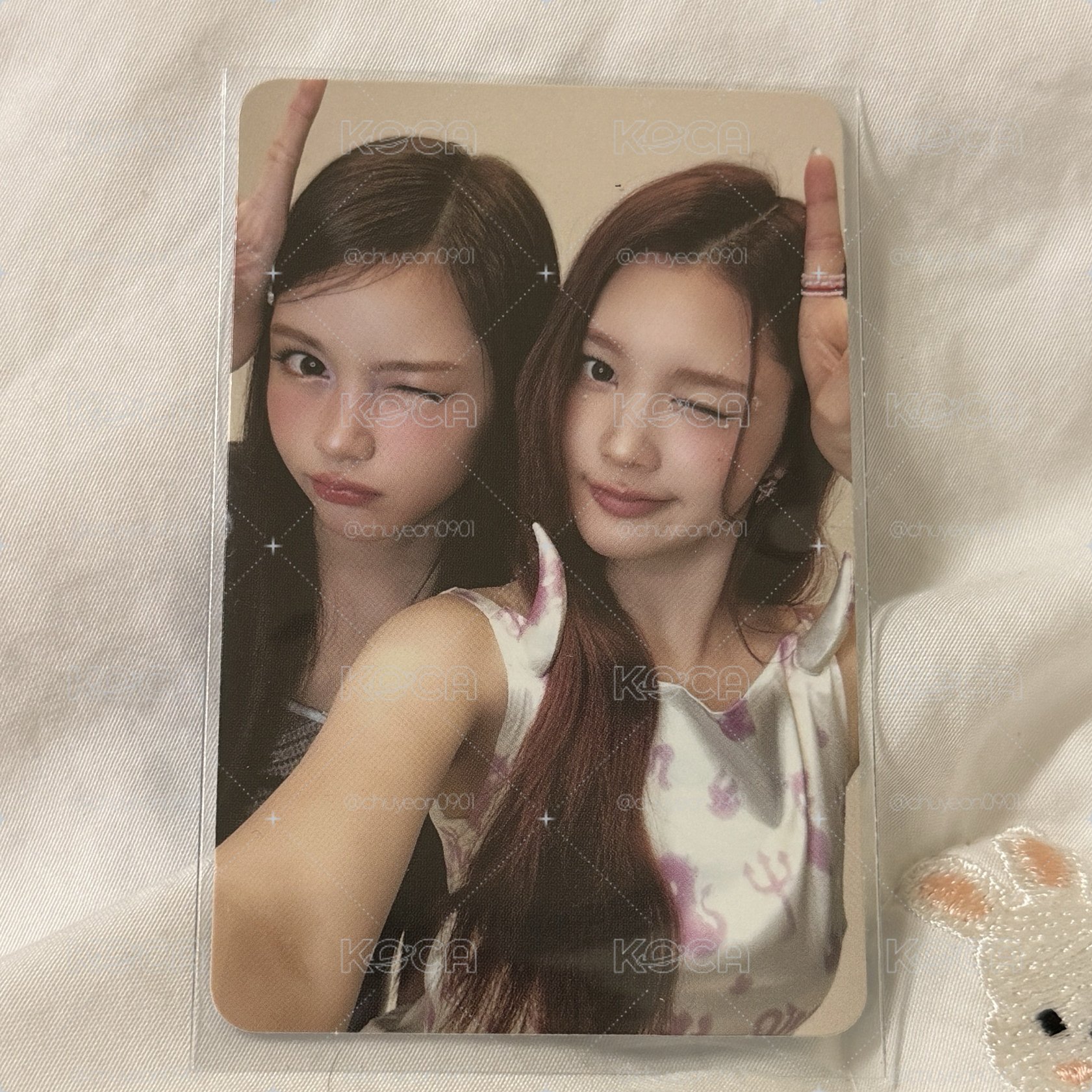 H2H Carmen Ana Focus PB專卡