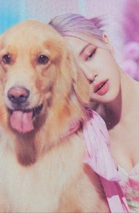 THE SHOW 周邊卡 歌詞卡