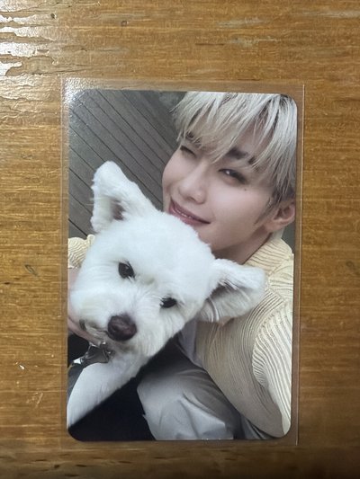 來 正規一 專輯卡 團封 狗狗 ver.