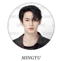 FOLLOW 日巡 徽章 