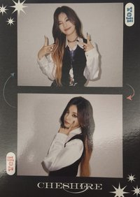 CHESHIRE sw 4.0 幸運卡 