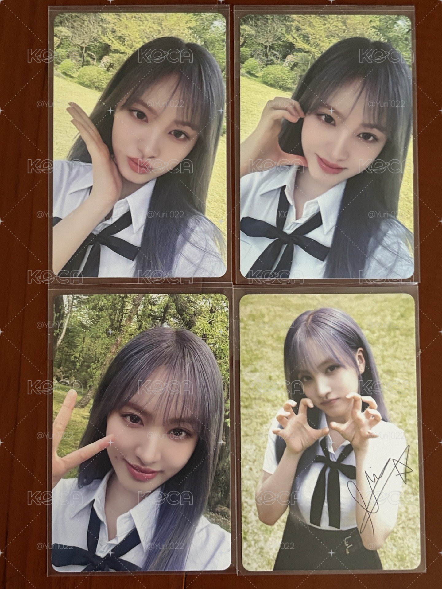 IVE D社 Dicon A版 Liz kakao特典 小卡