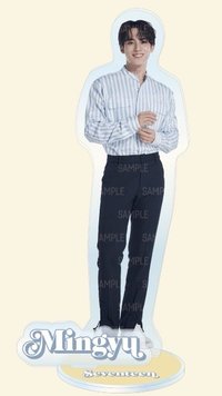 22‘FM HANABI 立牌 