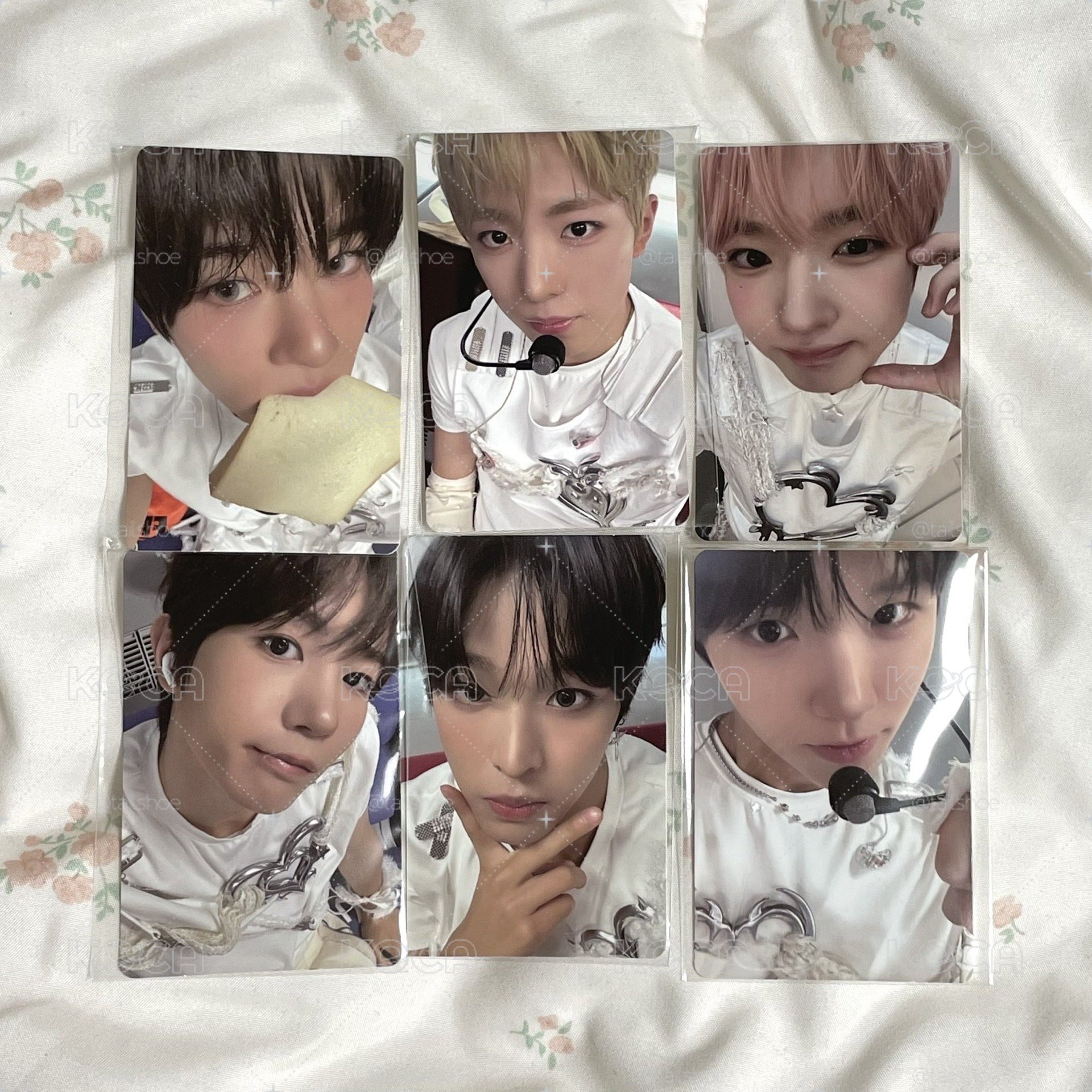 NCT WISH Color SM 簽售卡