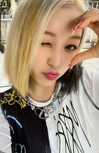 迷二 打歌卡 