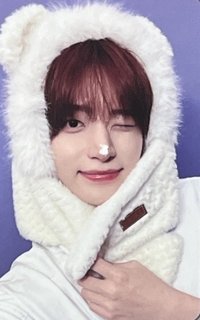 DtC ms 5.0 簽售卡 台北合影 白色小熊