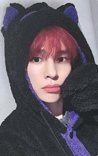 DtC ms 4.0 簽售卡 動物睡衣