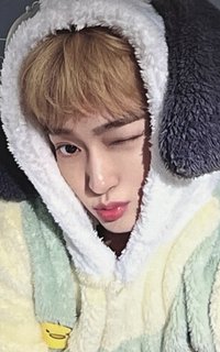 DtC ms 4.0 簽售卡 動物睡衣