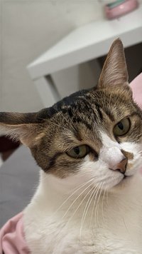 유나🐈‍⬛