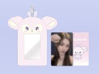 世巡快閃 卡套 (組) 