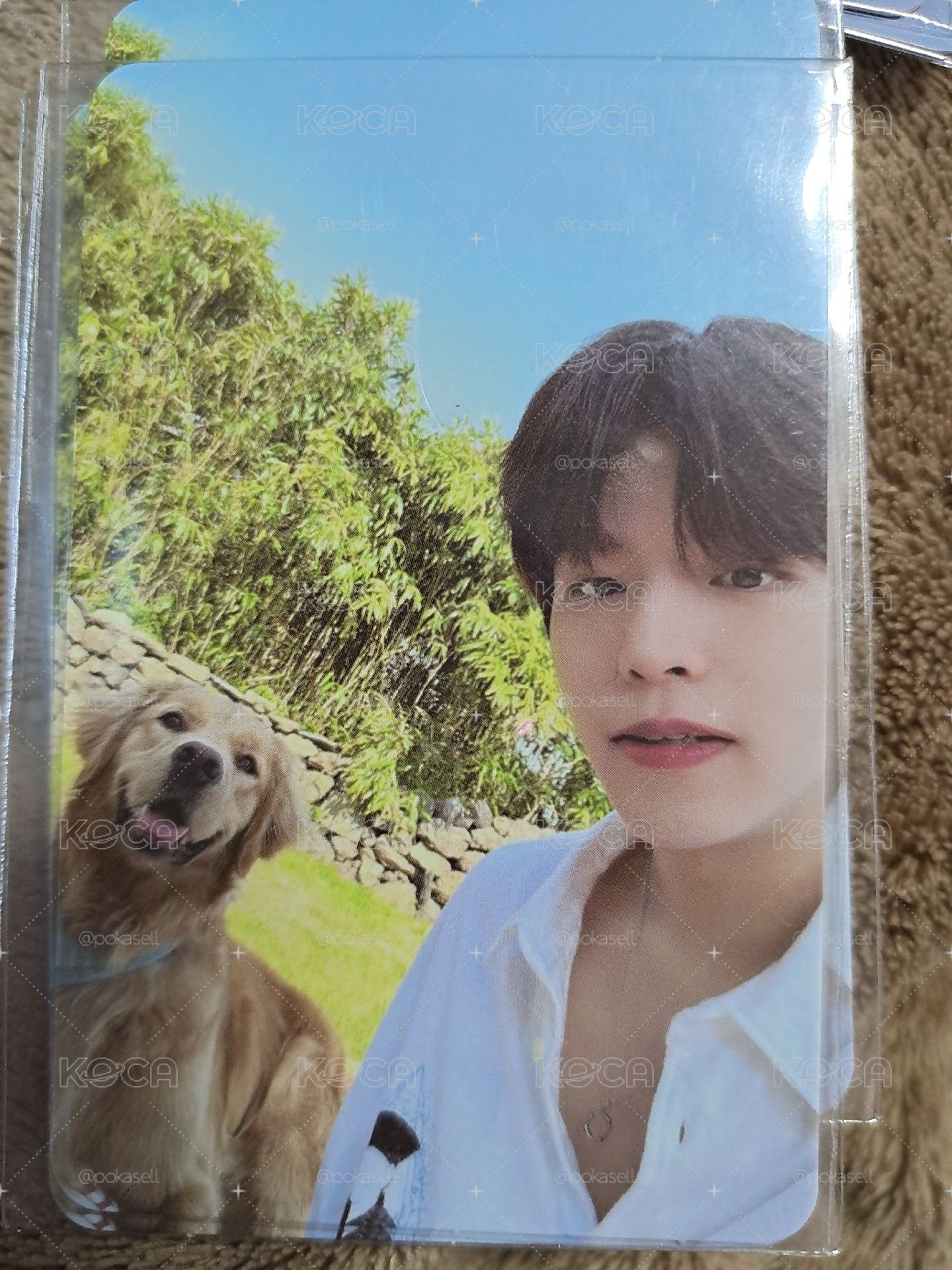 sm jeju 要綁