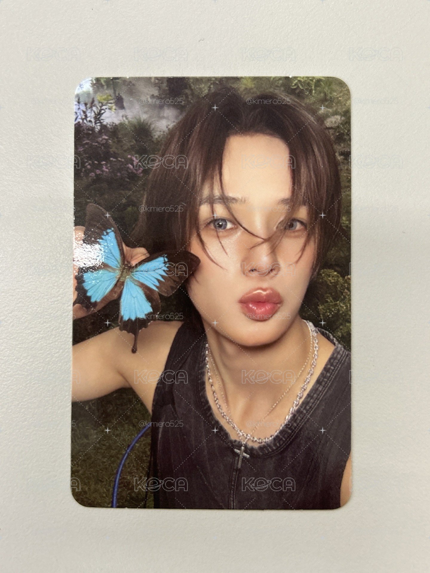 &TEAM｜K BTL 專輯卡 ROAR ver. B版