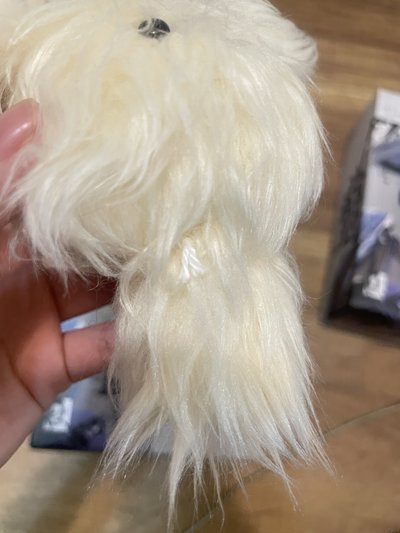 嫄水母專（無小卡）（盒損）