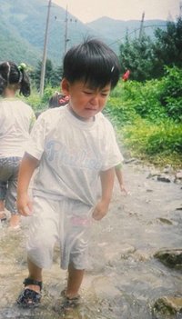 西瓜