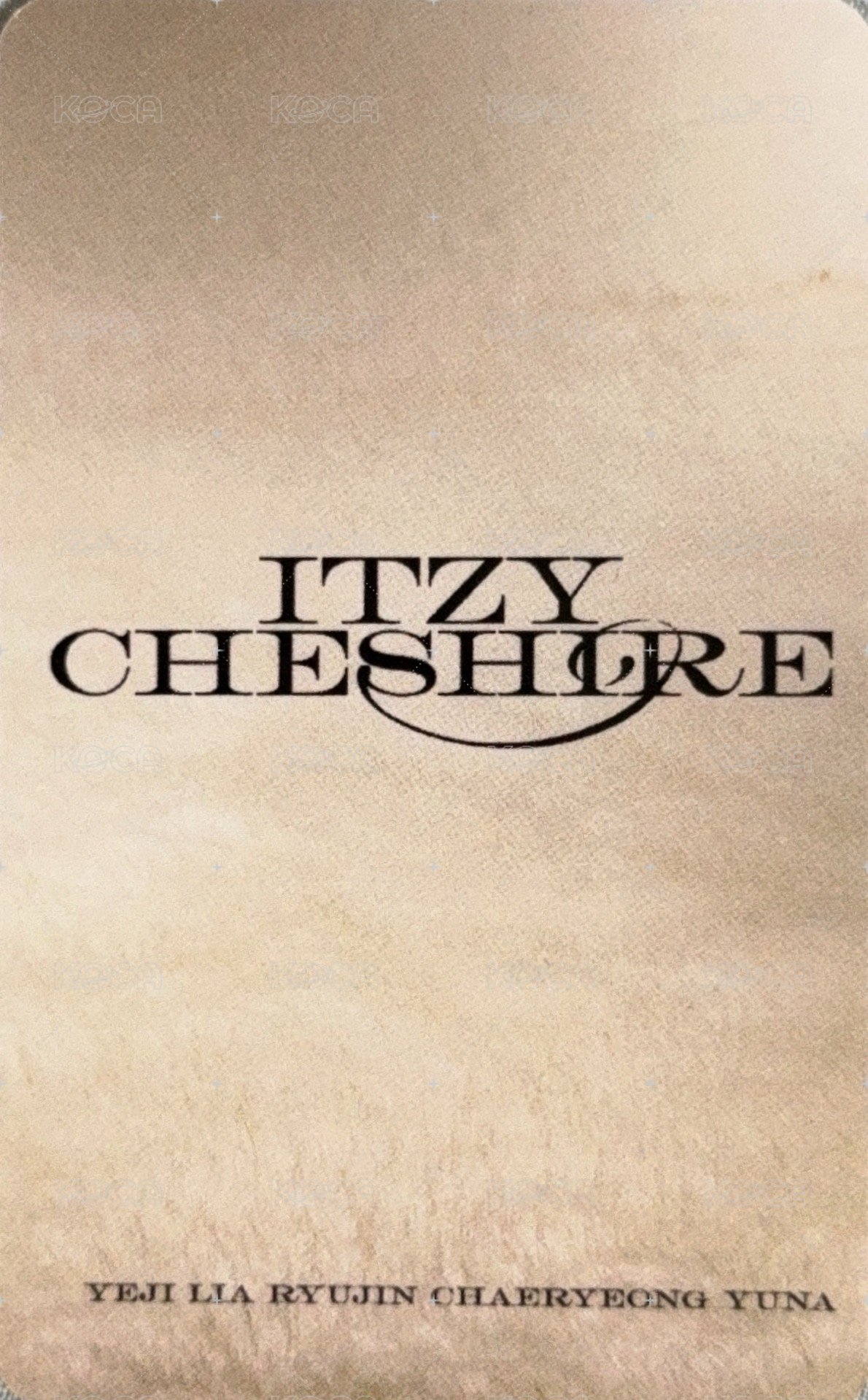 CHESHIRE 末放全勤 打歌卡  背面