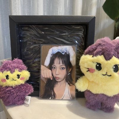 🐱星河 兔子大王圭