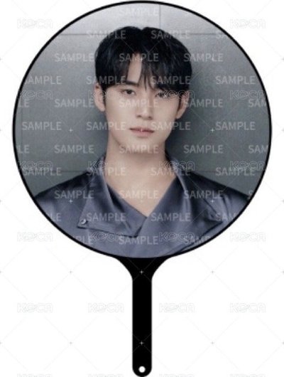 奎日巡大扇+藍格子奎小盤