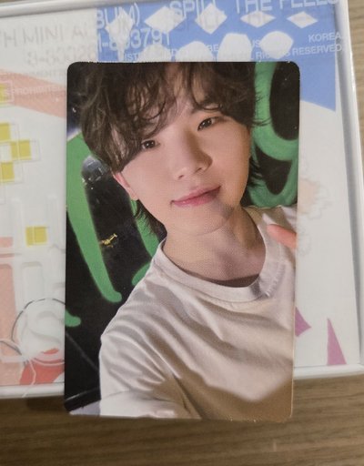 全專🪩迷12 Minil2 Kit Jun woozi Mingyu Seungkwan Dino