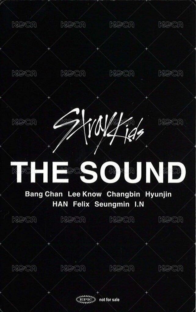 THE SOUND 入場卡 / 場限卡 大阪 02/25 背面