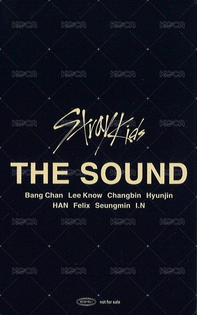 THE SOUND 入場卡 / 場限卡 大阪 02/26 背面