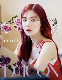 舊DICON 雜誌 