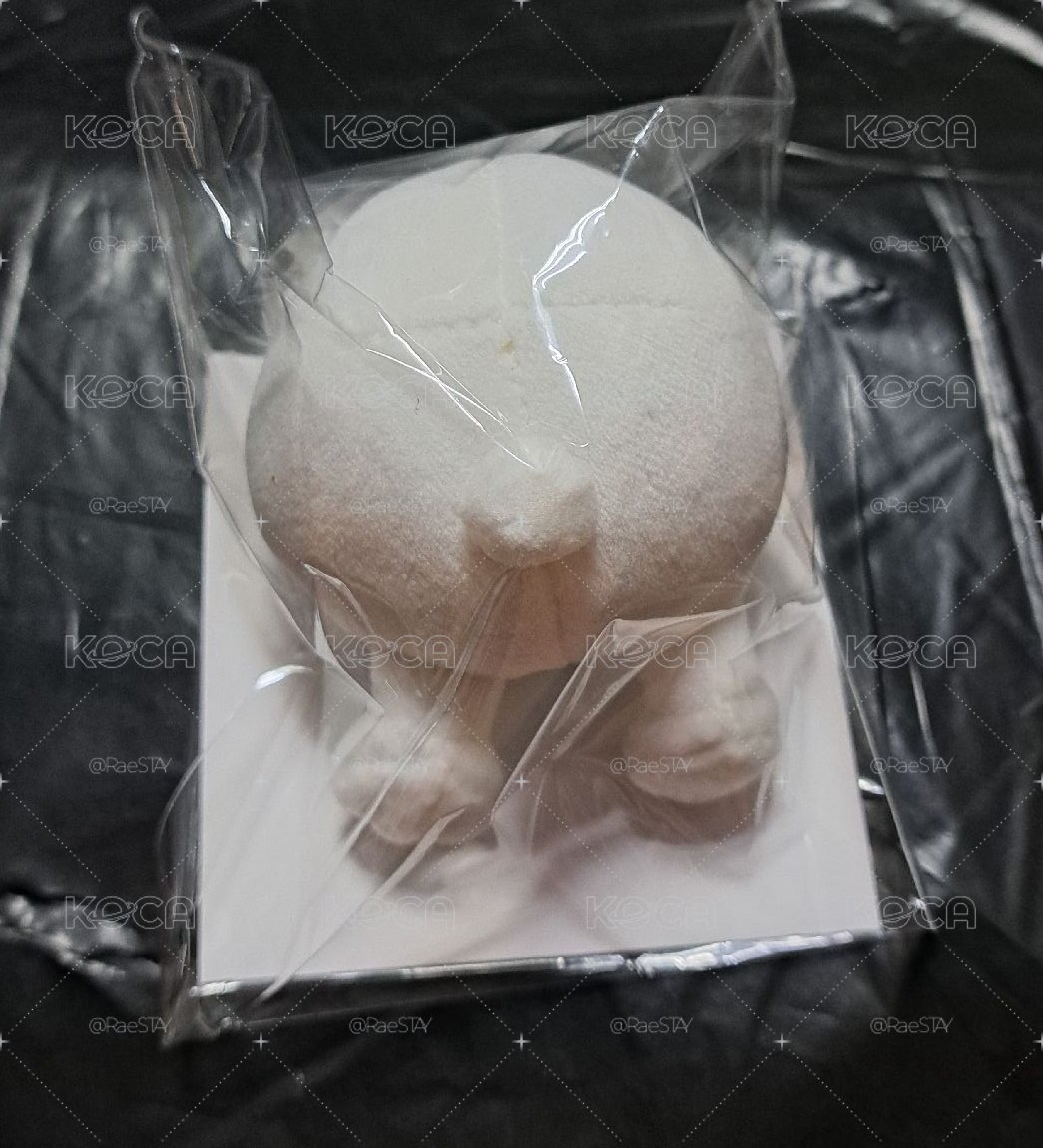 SKZOO 聖誕日週 立體屁屁手機支架 LEEBIT 
