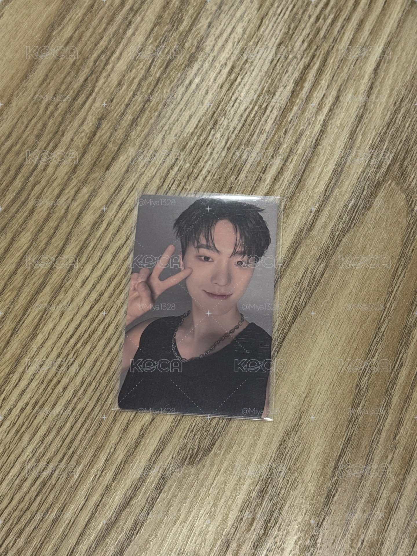 Seventeen 李燦 Dino 迷12 wvs簽售