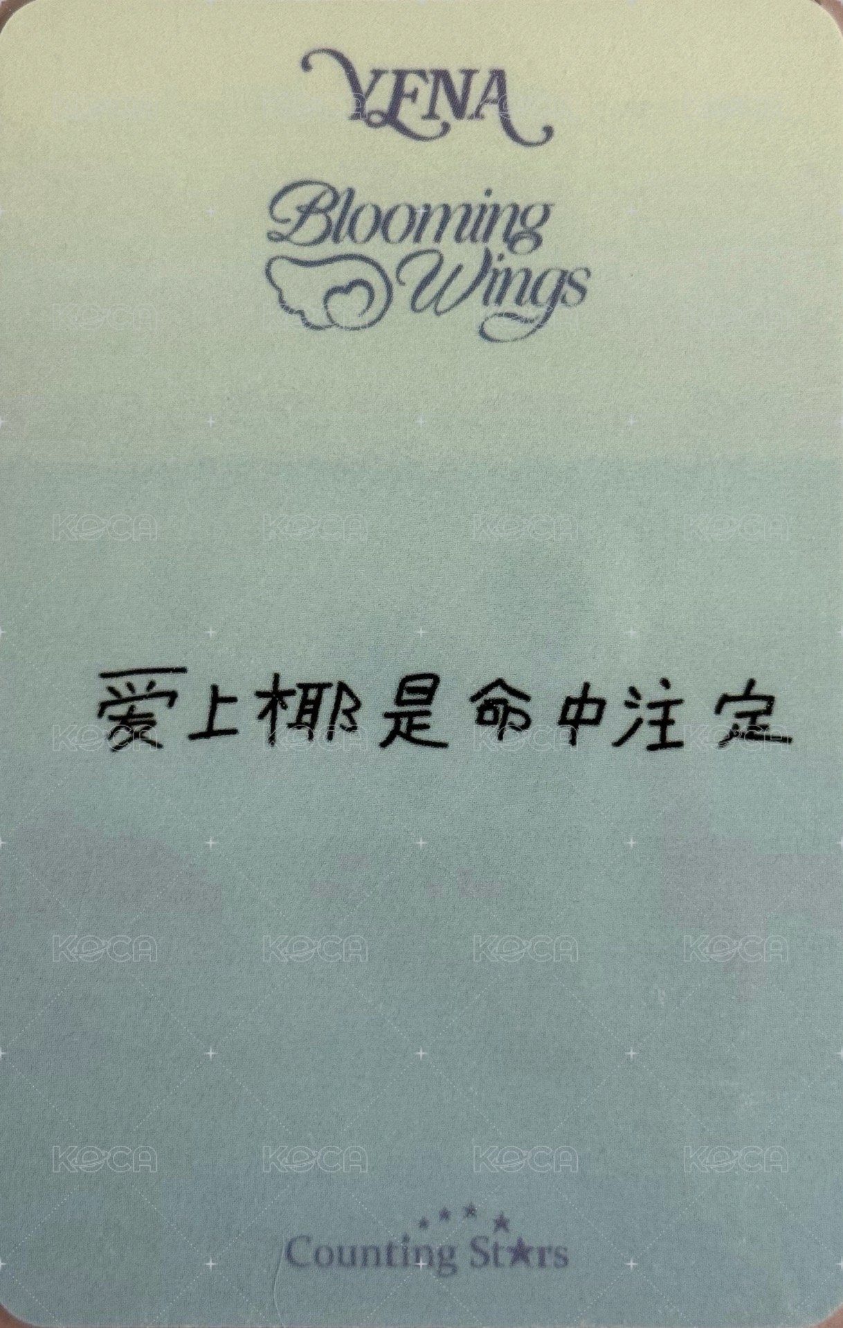 迷四 數星星 上海快閃店 簽售卡  背面