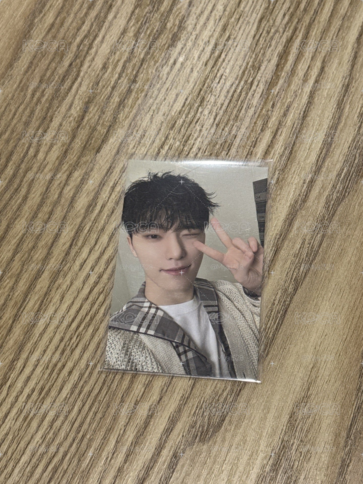 Seventeen 李燦 Dino 2024克拉島 襯衫卡
