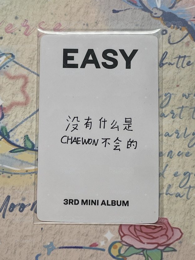 青島中背-采🐯