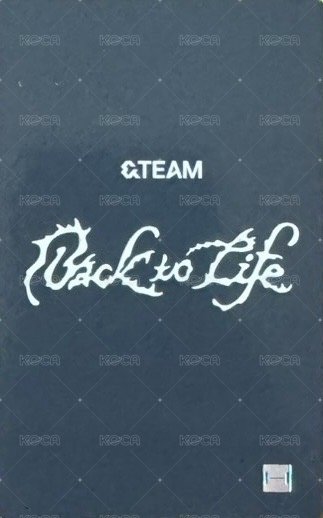 BTL wvs 1.0 幸運卡  背面