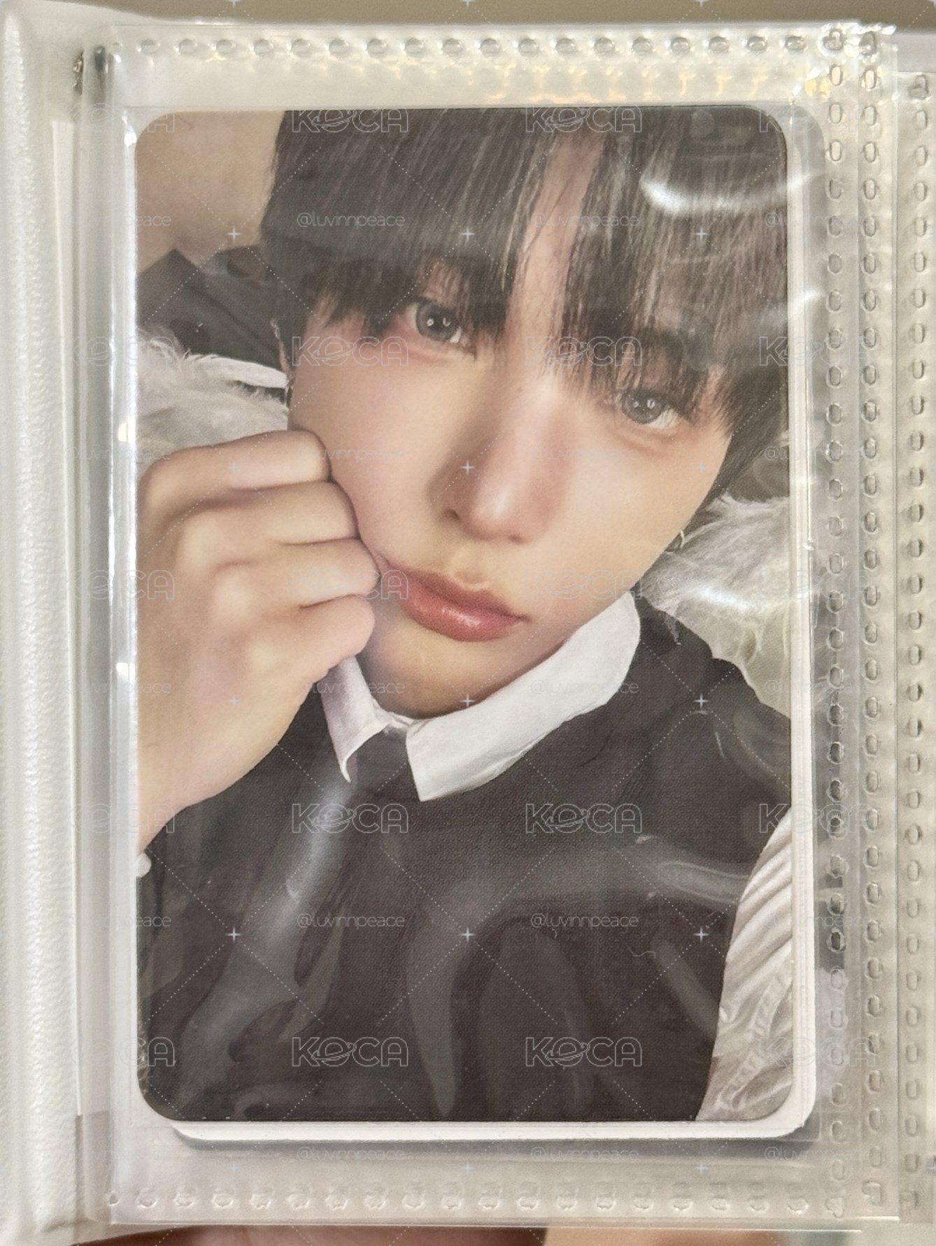 🐰Harua BtL miniCD 專卡