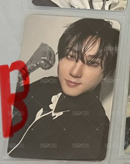 B1