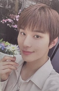 Perfume  單封 專輯卡 