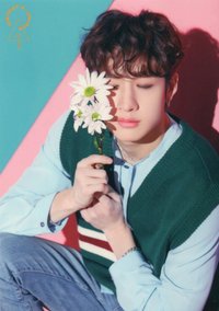 1st 世巡 隨機卡 大卡