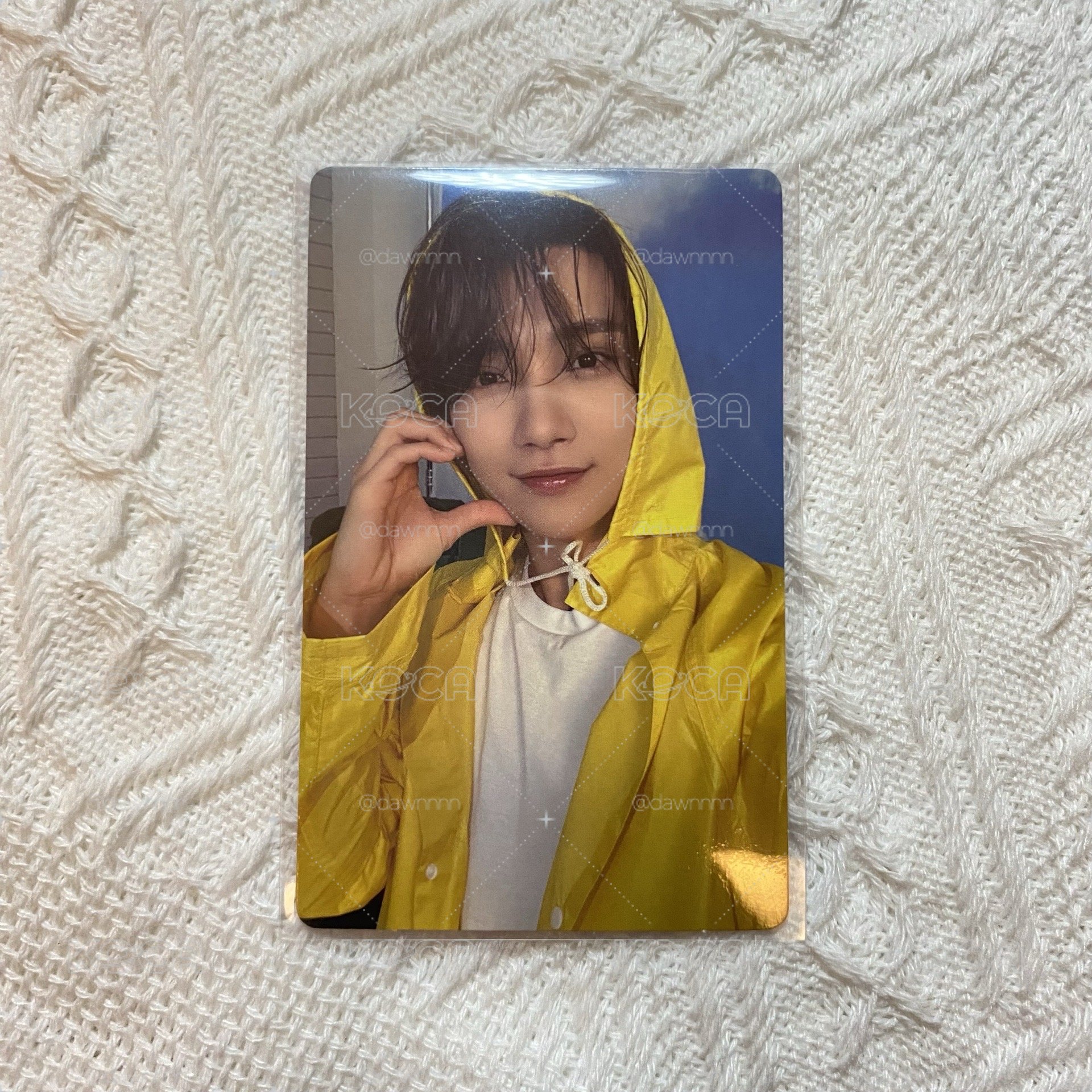 洪知秀 迷11 克拉盤 wvs特典卡
