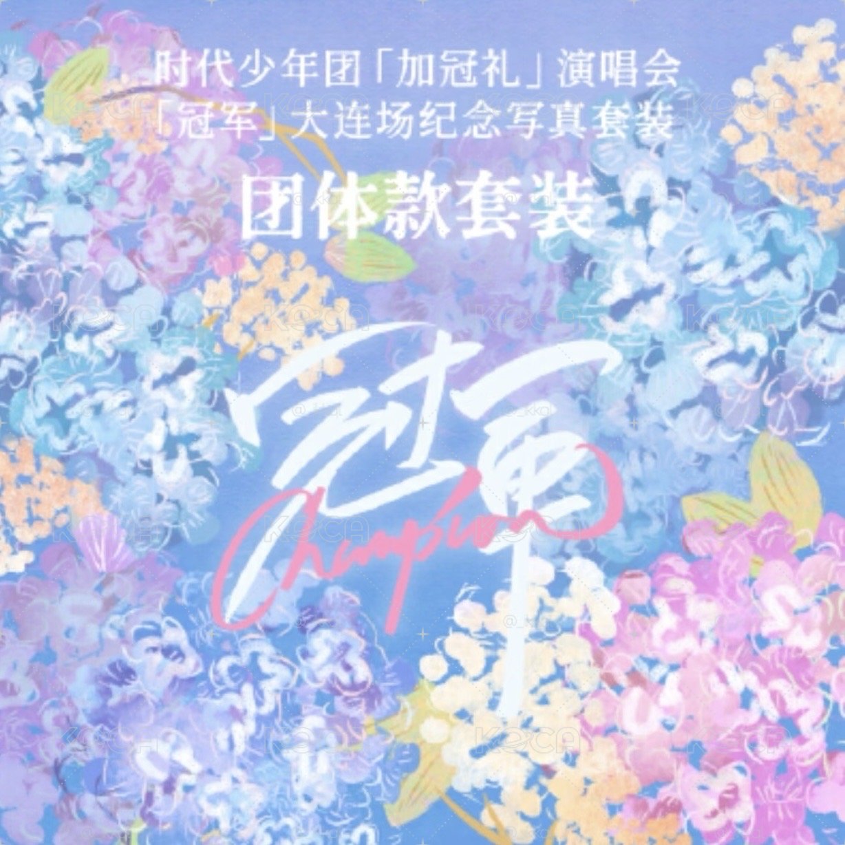 團大連冠軍無小卡全套