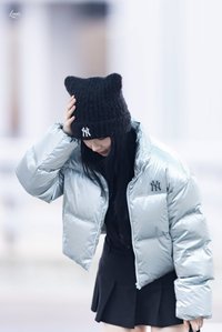 追星的野狼