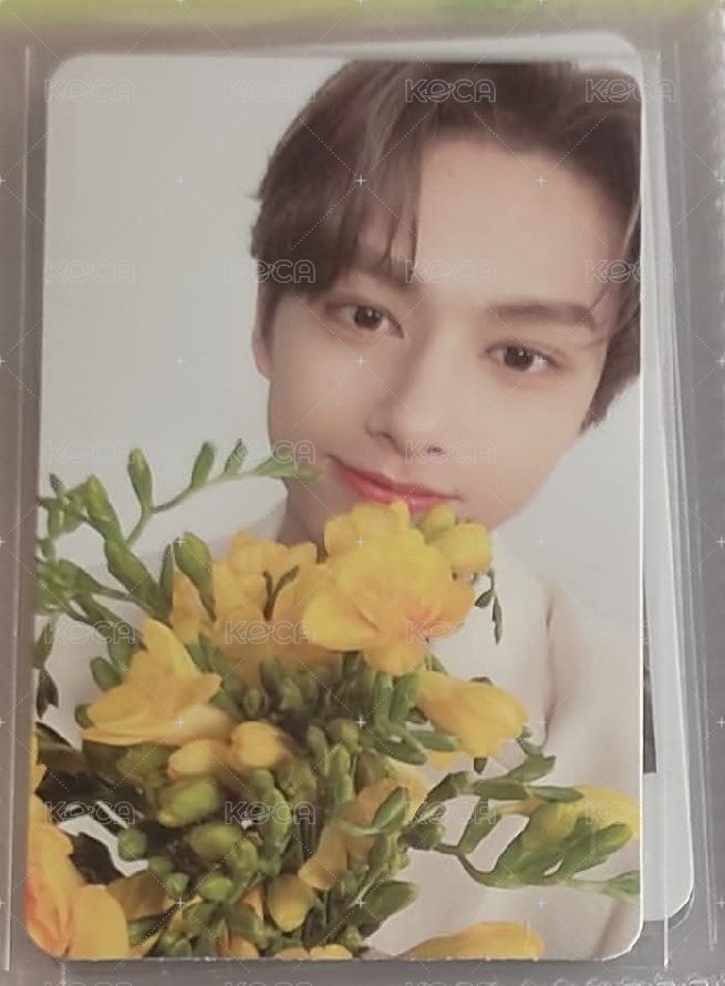 迷八 捧花俊