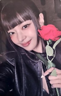 TNVS poca B 專輯卡 