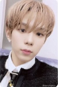 NCT時期 周邊卡 照片組小卡